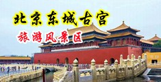 wwwhuangse中国北京-东城古宫旅游风景区